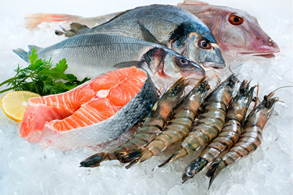 Seafood Multi-Use Temperature Data Logger