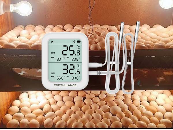 Chick incubator Bluetooth temperature data logger